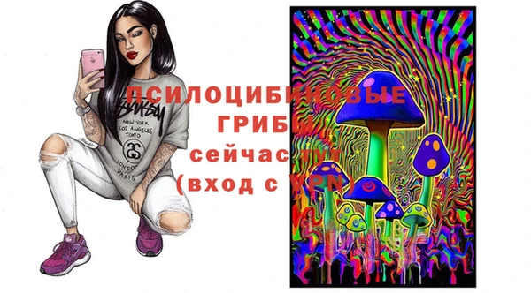 apvp Кукмор