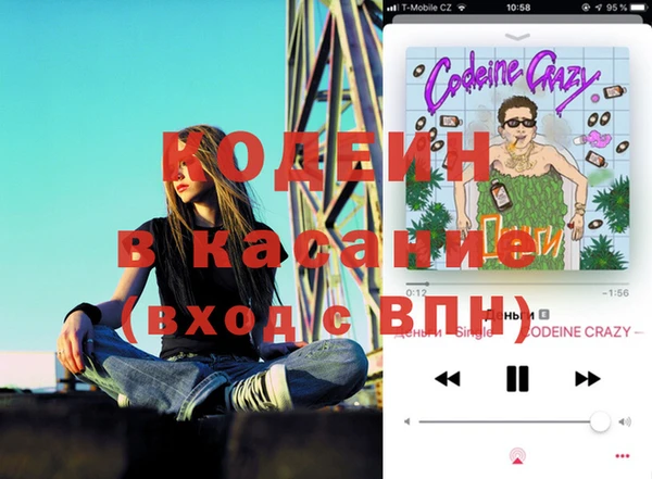 apvp Кукмор