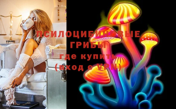 стафф Кулебаки