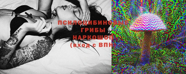apvp Кукмор