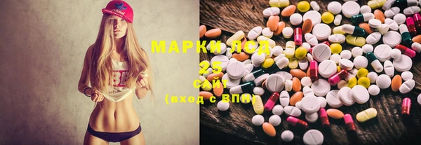 apvp Кукмор