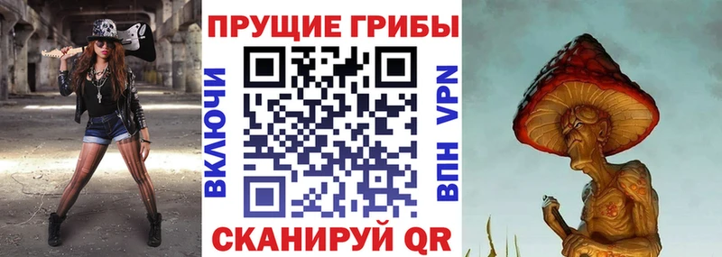 Купить закладки  Вилючинск  Псилоцибиновые грибы Cubensis 